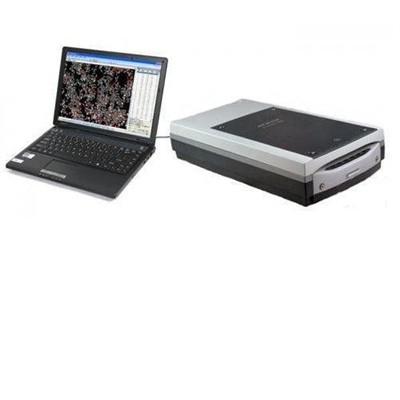 小麦不完善率测定仪