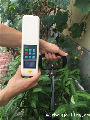 土壤紧实度测定仪